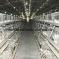 Broiler Poultry Farm Equipment Chicken Cage From China